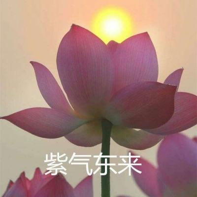 放开那三国3巴别时代版本下载
